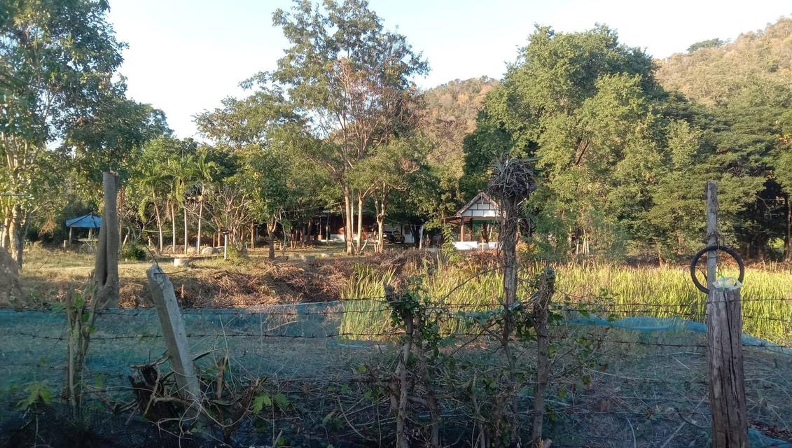 ขายบ้านพร้อมที่ดิน หลังติดเขา ต.เขาขลุง อ.บ้านโป่ง จ.ราชบุรี 6