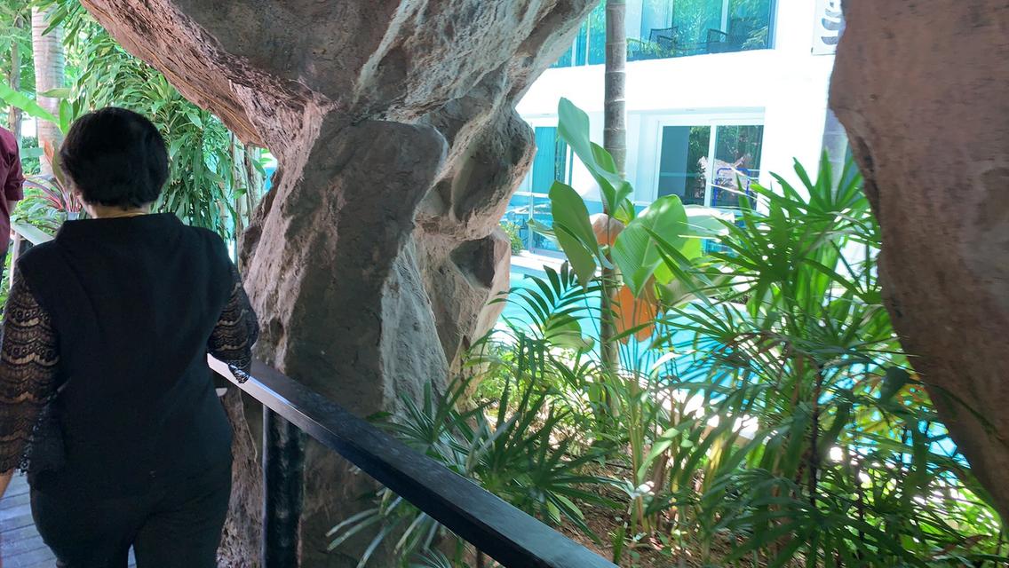 Condo Amazon Residence 11