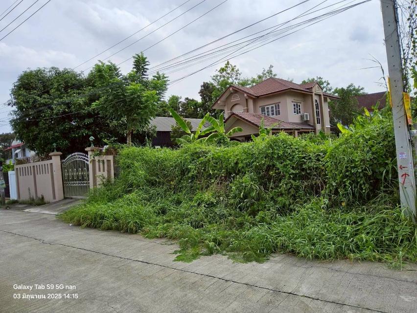 ขายที่ดินพุทธมณฑลสายสอง 113 ตรว ติดถนนคอนกรีตสาธารณะ ถมแล้ว  ซ.11 ภาษีเจริญ กทม. 3