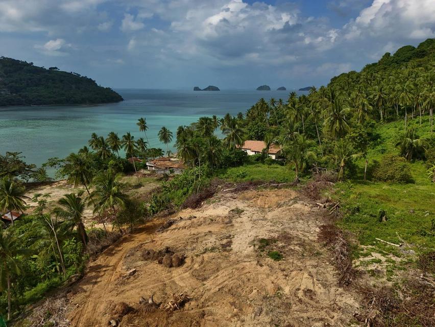 ขายที่ดินเกาะสมุย 2 ไร่ ตลิ่งงาม ใกล้ทะเล แบ่งขาย เหมาะสร้างวิลล่าและรีสอร์ต 2