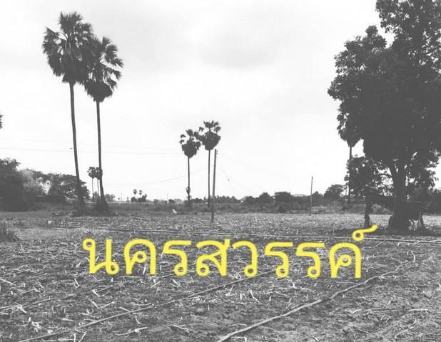 แค่วางดาวน์ก็มีโอกาสเป็นเจ้าของ ขายที่สวยติดแม่น้ำน่าน ชุมแสง จ.นครสวรรค์ 300000 บาท.วิวแม่น้ำเกษตรดีงามสวยสมบูรณ์ 2