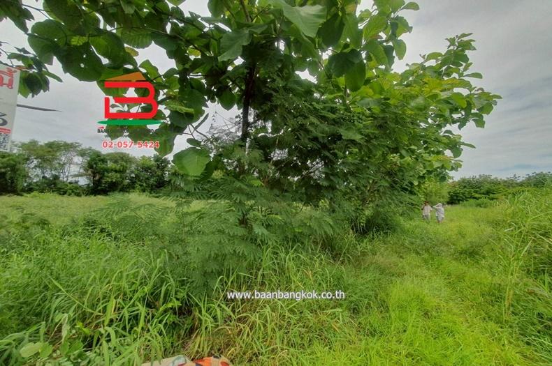 ที่ดินเปล่า คูบางหลวง-ลาดหลุมแก้ว เนื้อที่ 3-1-56 ไร่ ติดบจก.ชาญนครวิศวกรรม ตำบลคูบางหลวง อำเภอลาดหลุมแก้ว จังหวัดปทุมธานี 9