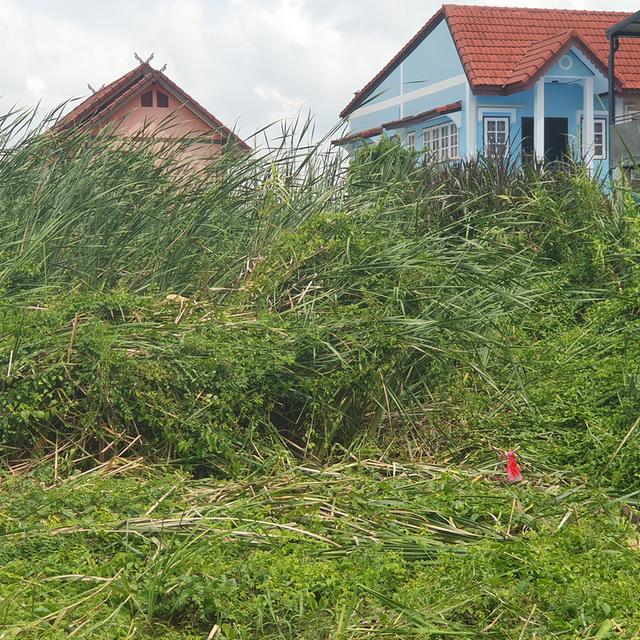 ที่ดินซอยช่างอากาศอุทิศราคาถุกเจ้าของขายเอง 11