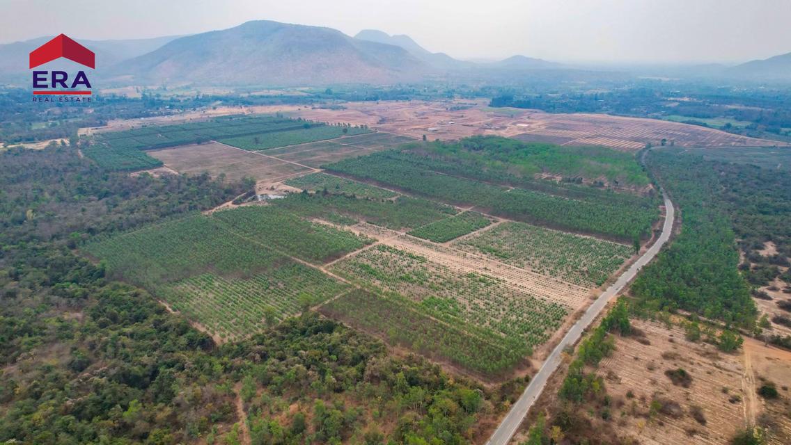 ขายที่ดินแปลงใหญ่ พื้นที่ 127-3-22 ไร่ ตำบลท่าตะคร้อ อำเภอหนองหญ้าปล้อง จังหวัดเพชรบุรี