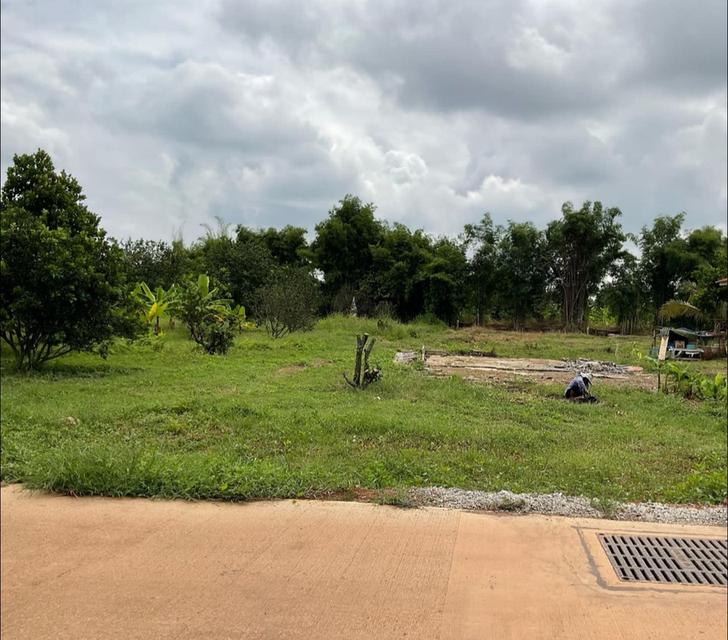 ขายที่ดินท่าตูม 261 ตรว. ติดถนนบ้านโคกไม้แดงซอย2 ใกล้ถนนสี่เลนเส้น3079-170เมตร ใกล้นิคม304-5กม. อ.ศรีมหาโพธิ ปราจีนบุรี 1