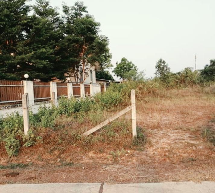 ที่ดินหนองคาย ติดถนน หนองคาย-เวียงจัทนร์ทางไปตม.ลาว 6
