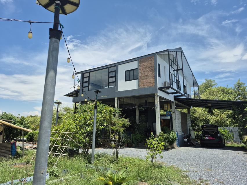 บ้านพร้อมที่ดินทำสวนเกษตร 3