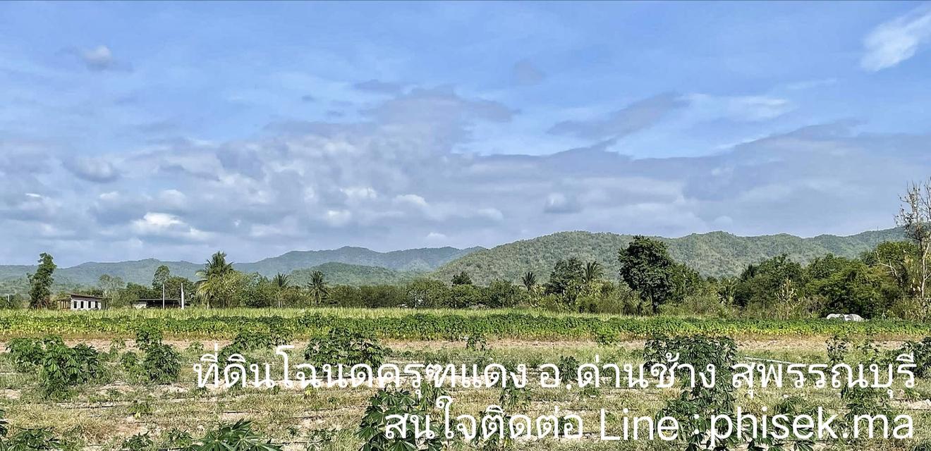 ที่ดินโฉนดครุฑแดงวิวเขา ท้ายติดห้วย 7ไร่ ไร่ละ400,000 อ.ด่านช้าง สุพรรณฯ น้ำไม่ท่วม ใกล้แหล่งท่องเที่ยว โทร : 080-7866949 line id : phisek.ma 3
