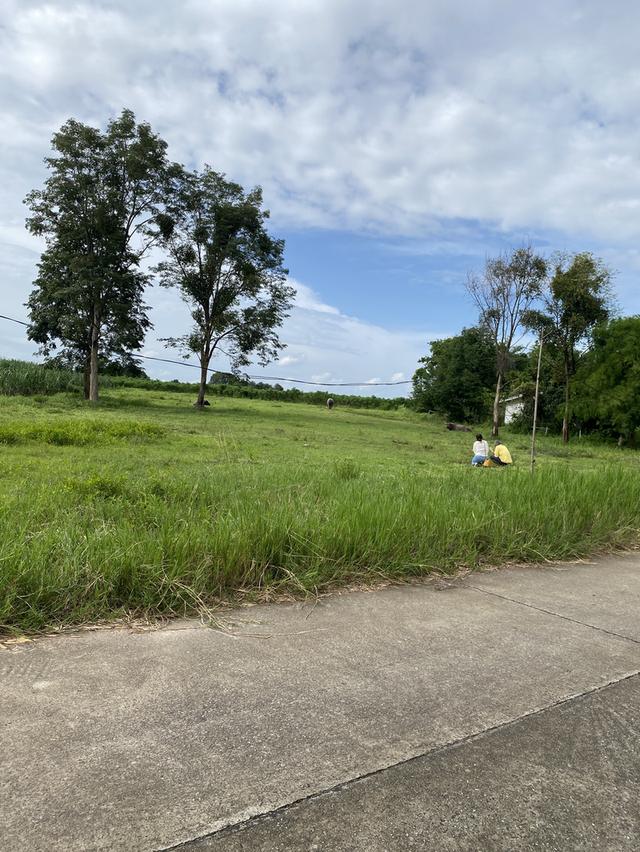 ขายที่ดิน 1 ไร่ ราคา 390,000 บาท จังอุดรธานี  1