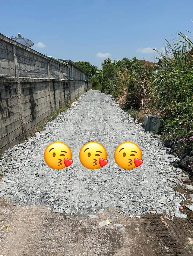 ขายที่ดิน 100 ตรวเศษ 12