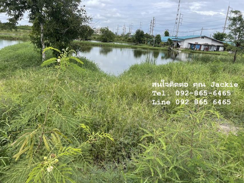 ที่ดินเปล่า โฉนดครุฑแดง ติดนิคมอมตะซิตี้ชลบุรี (ผังสีม่วงอ่อนจุดขาว) 3