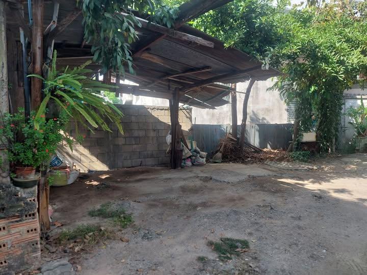 ขายที่ดิน 61 ตรว ในคูเมืองเชียงใหม่  13 ล้าน 1