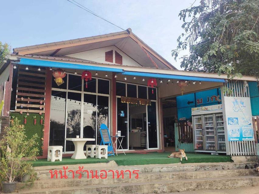ขายที่ดินจังหวัดเลย พร้อมสิ่งปลูกสร้างร้านอาหาร 2
