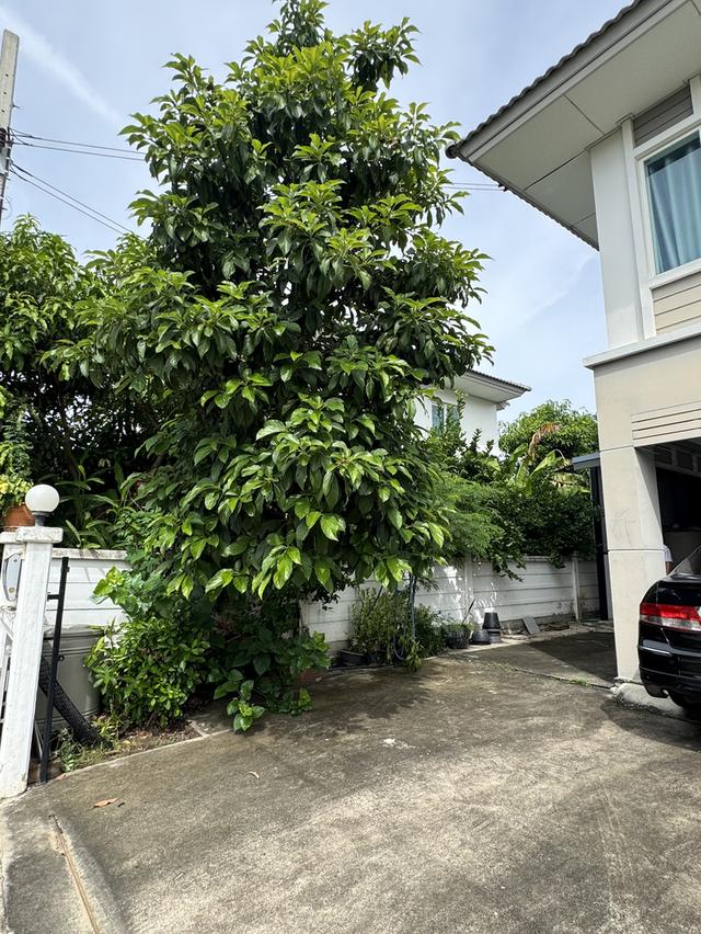 ขายด่วน บ้านเดี่ยว หมู่บ้านคุณาภัทร7 บ้านกล้วย-ไทรน้อย เฟอร์พร้อมอยู่ 7