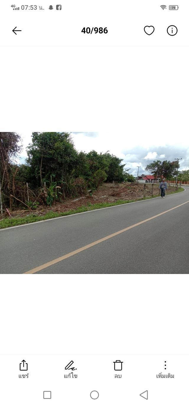 ที่ดิน สันป่าตองเชียงใหม่ 2