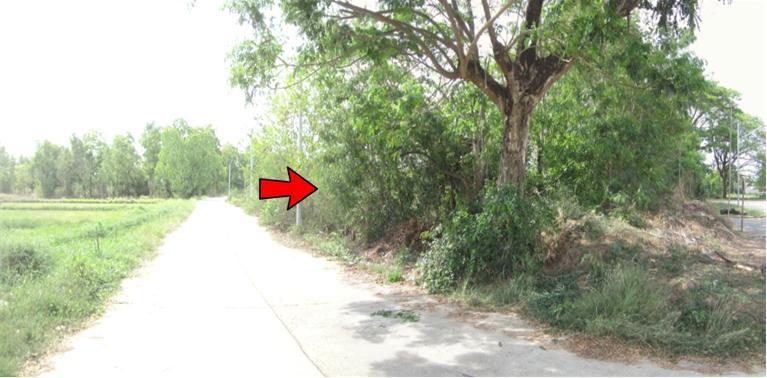 #ขายที่ดินห่างจากตัวเมือง 6.00 กม. อ.เมือง อุดรธานี 5