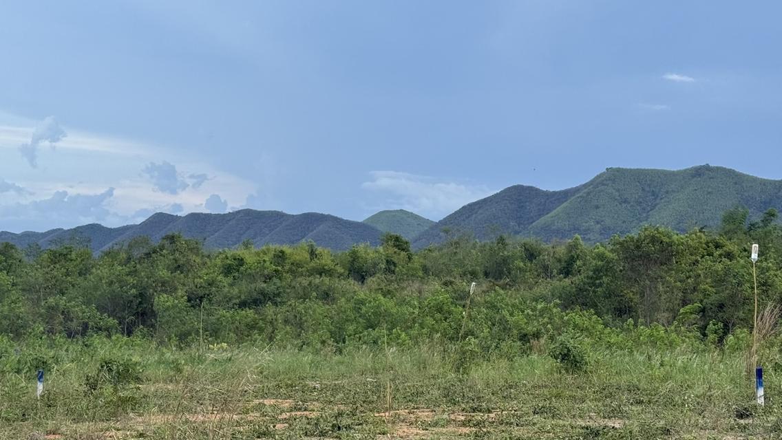 ที่ดิน วิวเขา ท่ายาง เพชรบุรี 1