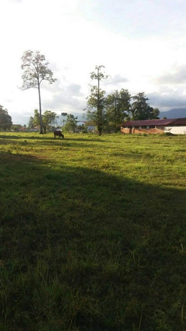 ขายที่ดินด่วนๆ ลดราคา 15 ไร่ ไคสี เมืองบึงกาฬ ใกล้สะพานมิตรภาพ ไทย-ลาว อยู่ติด ถ.ชยางกูร ติดทางเข้าวัดอาฮงศิลาวาส โทร 0632897879 7