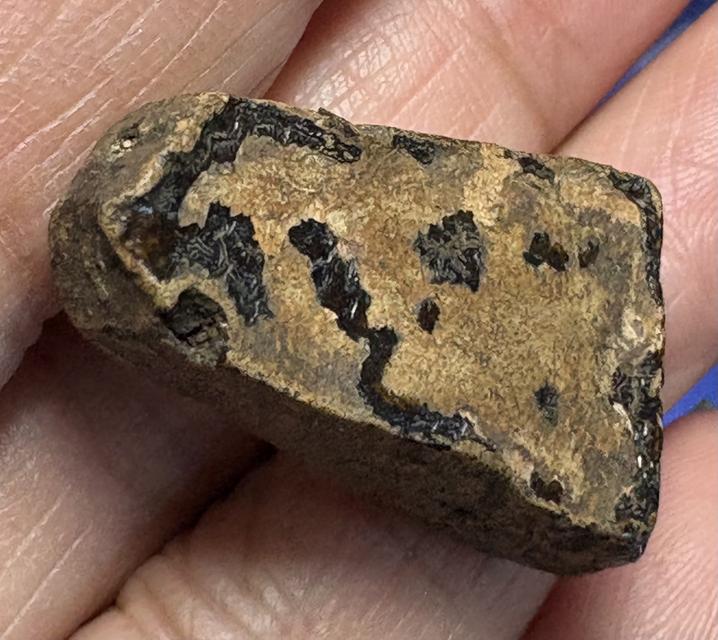 พระผงสุพรรณ พิมพ์หน้ากลาง รูปที่ 7