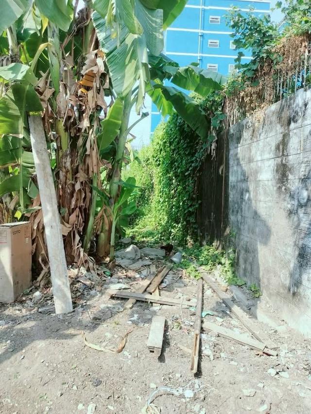 ขายด่วน !! ที่ดิน 98 ตารางวา ติดถนนคอนกรีต ไทรน้อย15/2 นนทบุรี 4