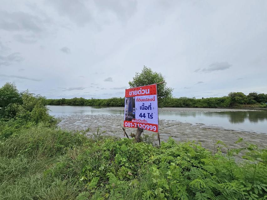 ประกาศขายที่ดิน สมุทรสาคร 44 ไร่ 3 งาน 68 ตารางวา 5