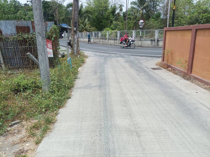 ขายที่ดิน95ตร.ว. ต.แม่คือ อ.ดอยสะเก็ด จ.เชียงใหม่ 13