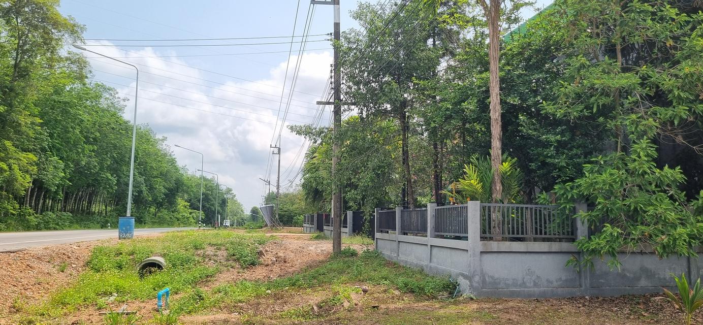ต้องการขายบ้านที่ระยอง พิกัดบ้านเขาวังม่านสูงจากระดับน้ำทะเลปานกลาง 55 เมตร 5