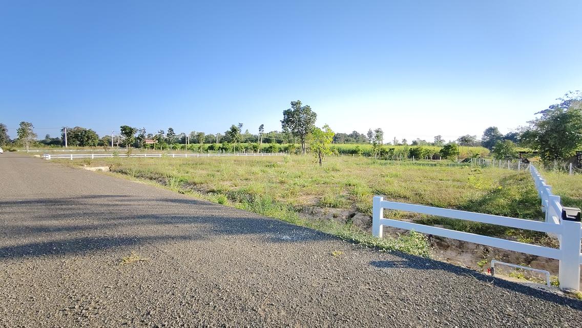 ที่ดิน " วิวภูเขา " อากาศดี ใกล้วังน้ำเขียว ใกล้ทางหลวง 304 วิวภูเขาลอมรอบ ภูหลวง ปักธงชัย นครราชสีมา มีให้เป็นเจ้าของอีก 5 แปลง เท่านั้น 12