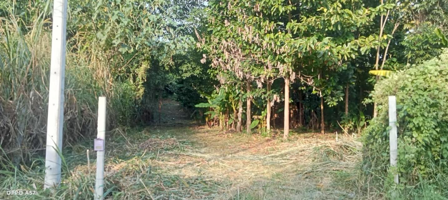 ที่ดินติดลำน้ำ เชียงใหม่ จอมทอง ทางขึ้นดอยอินทนนท์ 1