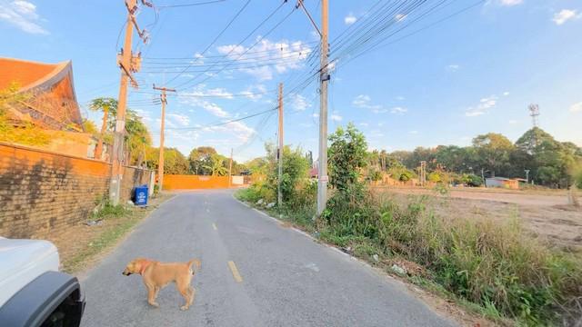 ขายที่ดินบางเสร่ ทำบ้านสองชั้นเห็นทะเล ขายยกแปลง 1 ไร่ 10.4 ตารางวา 4