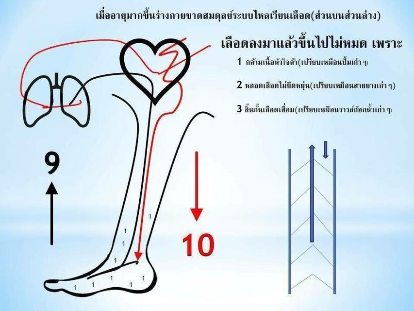 summit queen (ซัมมิท ควีน ), ร้านค้าออนไลน์โทร0905632104 7