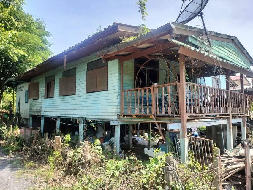 📢 ประกาศขายบ้านไม้ยกพื้น – ซอยสวนผัก ข้างสถานีอนามัย ใกล้วัดบางเดื่อ จ.ปทุมธานี ขายบ้านไม้ยกพื้นทำเลดี บรรยากาศเงียบสงบ เหมาะสำหรับอยู่อาศัยหรือรีโน 2