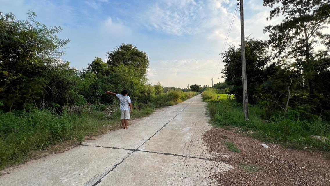 ที่ดิน จังหวัดสระแก้ว 12 ไร่ 1 งาน 79.6 ตร.ว. 2