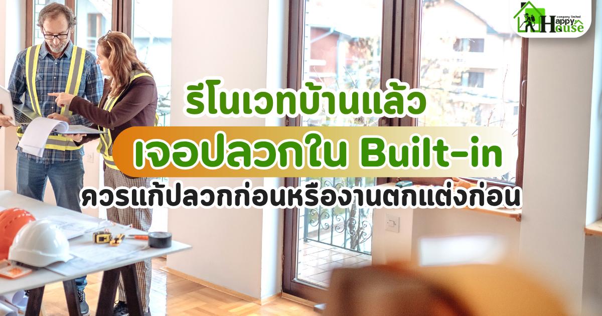 ปลวกหลังรีโนเวท ทำไมต้องจัดการก่อนปิด Built-in ใหม่