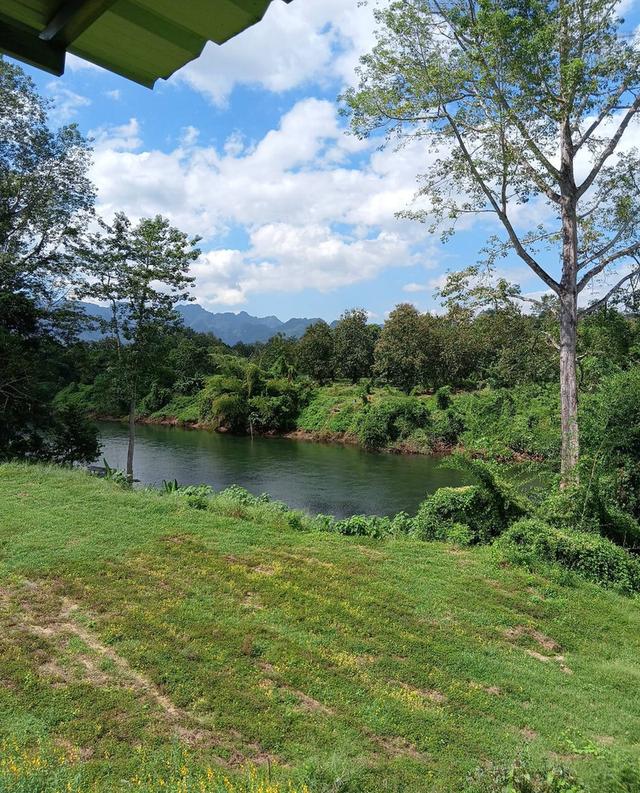 ที่ิดินพร้อมสวนทุเรียน จ.กาญจนบุรี อ.ทองผาภูมิ 14