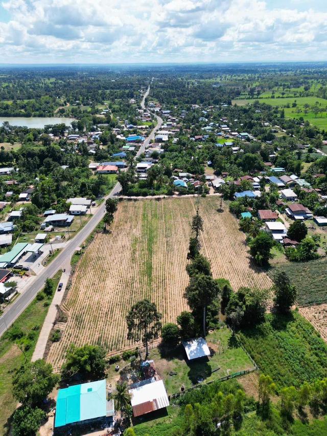 ขายที่ดินด่วน 2