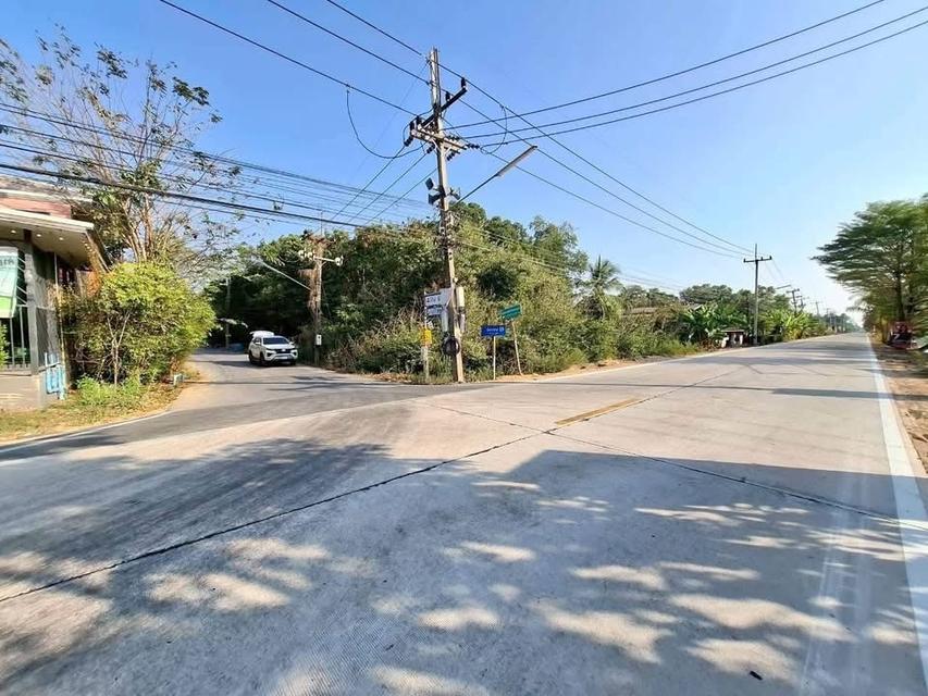 Vายด่วนที่ดิน 2ไร่ ) ( ติดถนนลาดยางสารณะ ซอยบึงบอน 13 หนองเสือ ปทุมธานี 4