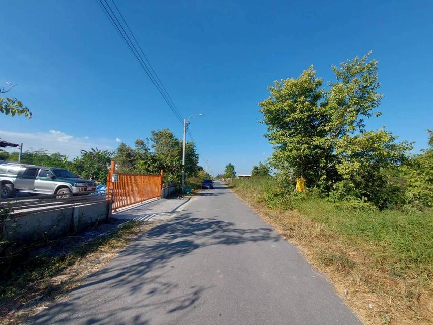 ขายที่ดินเปล่า ซอยเลียบวารี31 โคกแฝด เขตหนองจอก 2