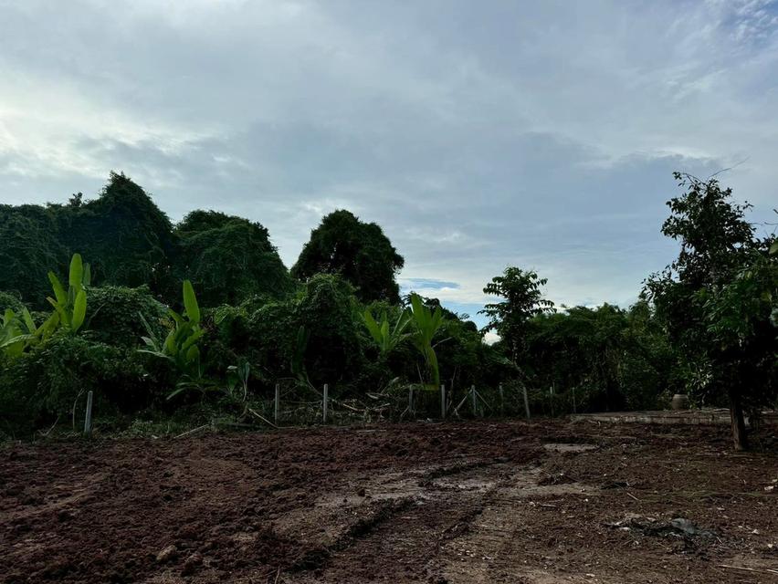โอกาสพิเศษ ที่ดินริมน้ำนครนายก เกือบ 2 ไร่ ปรับราคาลงเหลือ 4.5 ล้านบาท 2