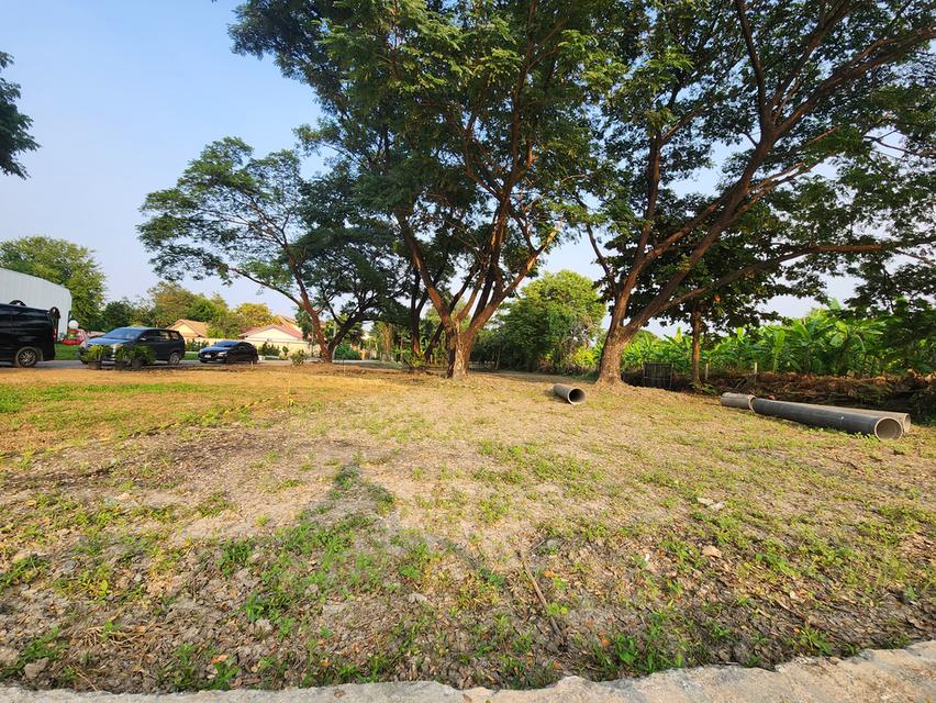ที่ดินเปล่า 220ตรว. ริมคลองทวีวัฒนา กรุงเทพ 2