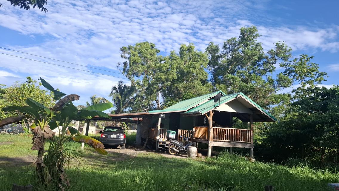 💥คุ้มสุดฯบ้านสวนสองหลังพร้อมที่ดินสองไร่ 3