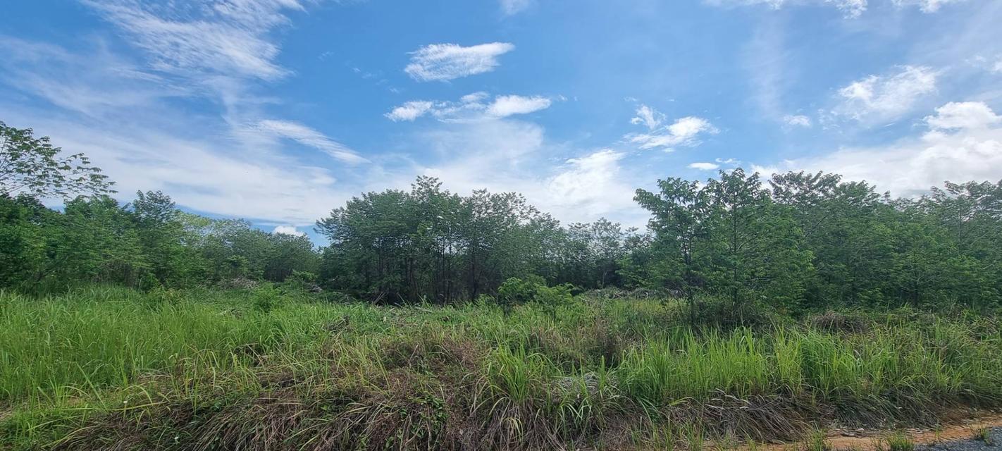 ขายที่ดินบ้านพารา, ป่าคลอก ภูเก็ต ตรงข้ามสนามกอล์ฟ มิชชั่นฮิลล์ ภูเก็ต เนื้อที่ 27-0-93 ไร่ ราคาขาย ไร่ละ 5,500,000 บาท /ไร่ เ 6