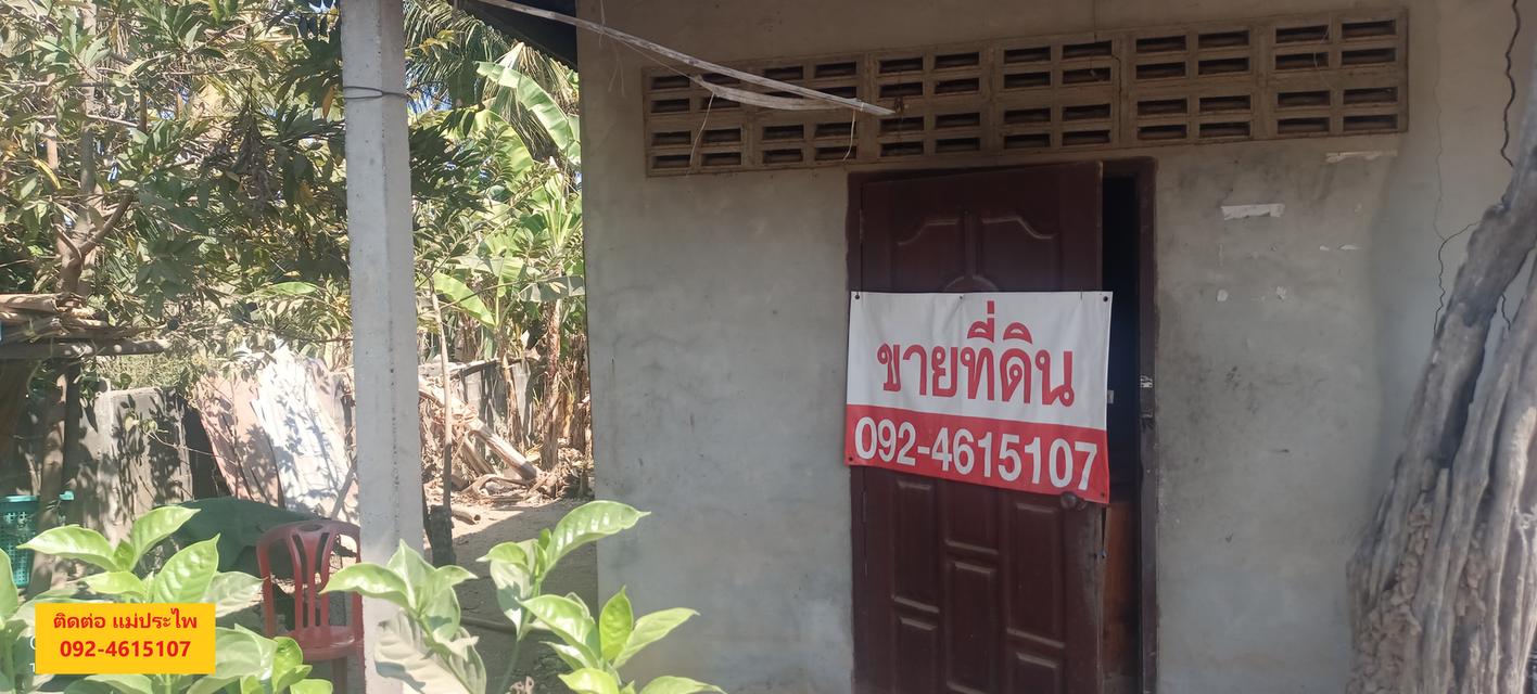 ที่ดิน มีสิ่งปลูกสร้าง 245 ตรว. หนองคาย 5