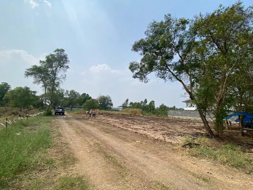 ขายด่วนที่ดินคลองสอง 312 ตารางวา) (ทำเลดี มีอนาคต 13 อ.คลองหลวง จ.ปทุมธานี 6