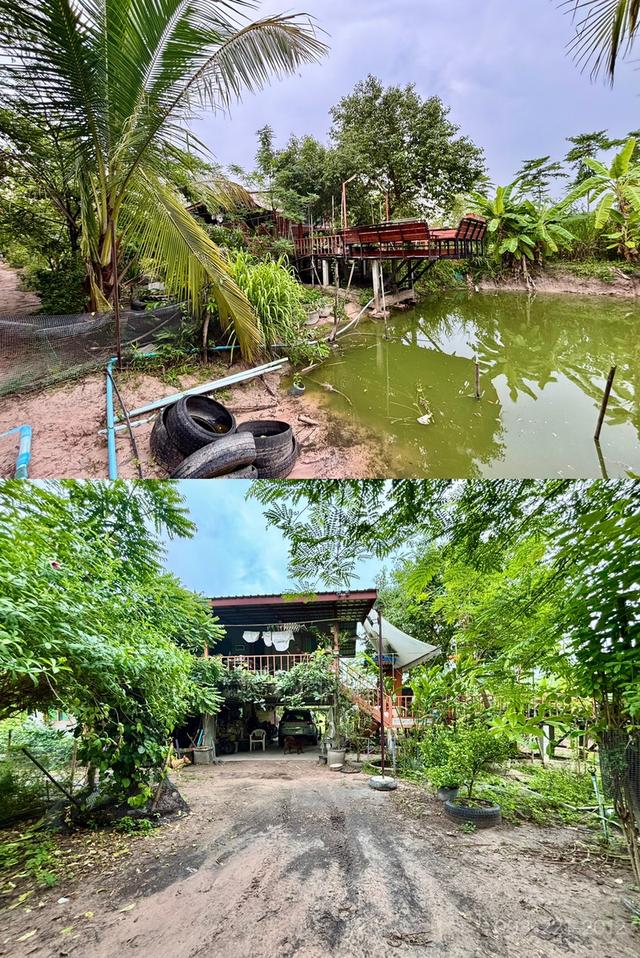 ขายบ้านสวน 5ไร่ ใกล้วัดป่าบ้านตาด 4