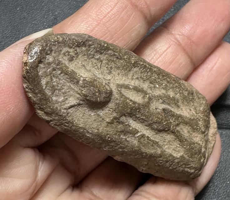 พระลีลาเนื้อดินทุ่งเหยียบดอก หลวงพ่อสุรินทร์ วัดลาดบัวขาว ราชบุรี พระมีประสบการณ์ดี รูปที่ 5