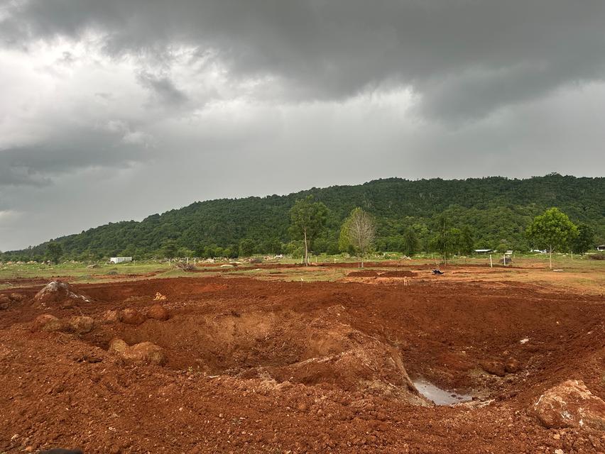 ที่ดิน เขาปากกว้าง โพธาราม ราชบุรี ขนาด 100 ตร.วา - 1 ไร่  17