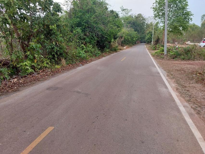 ที่ดินเปล่า โฉนด สกลนคร 8