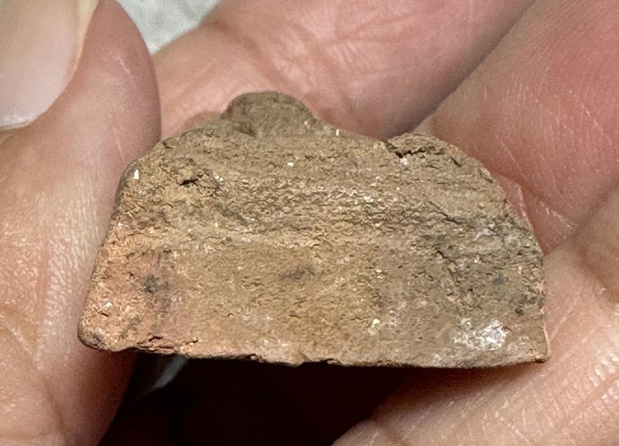 พระเนื้อดิน พิมพ์พระผงสุพรรณ ล.พ.โหน่ง วัดคลองมะดัน 7