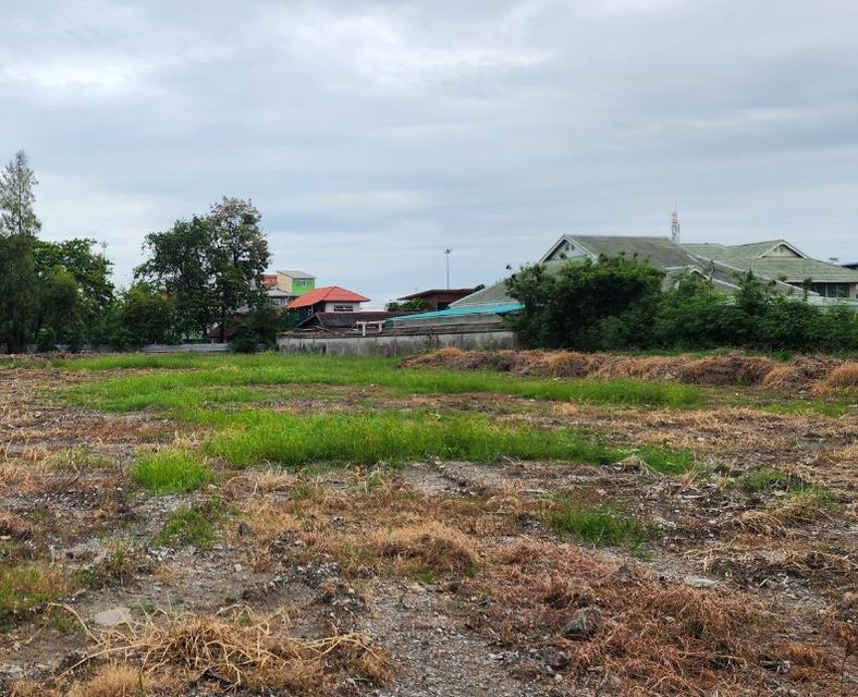 ขายที่ดินแปดริ้วทำเลดีเนื้อที่ 3 ไร่ ตรงข้ามโรงพยาบาลเกษมราษฎร์ ติดถนนใหญ่เส้นสุวินทวงศ์304 อ.เมืองฉะเชิงเทรา 7